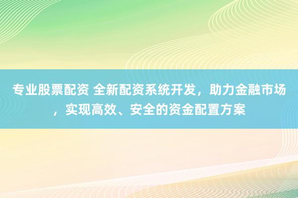 专业股票配资 全新配资系统开发，助力金融市场，实现高效、安全的资金配置方案