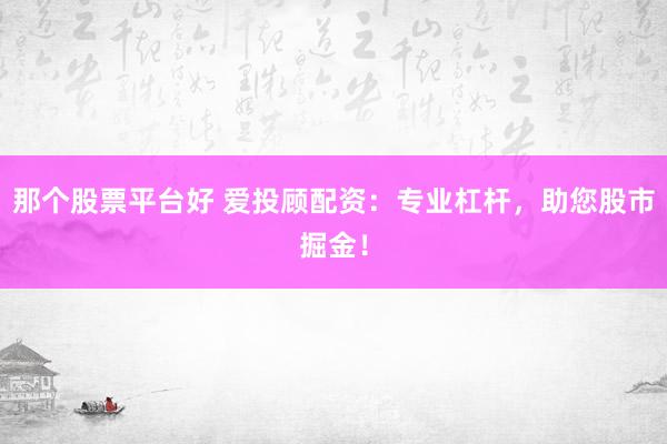 那个股票平台好 爱投顾配资：专业杠杆，助您股市掘金！