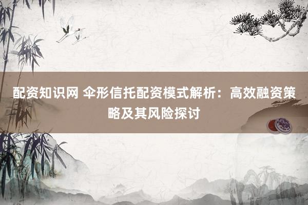 配资知识网 伞形信托配资模式解析：高效融资策略及其风险探讨