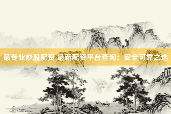 最专业炒股配资 最新配资平台查询：安全可靠之选